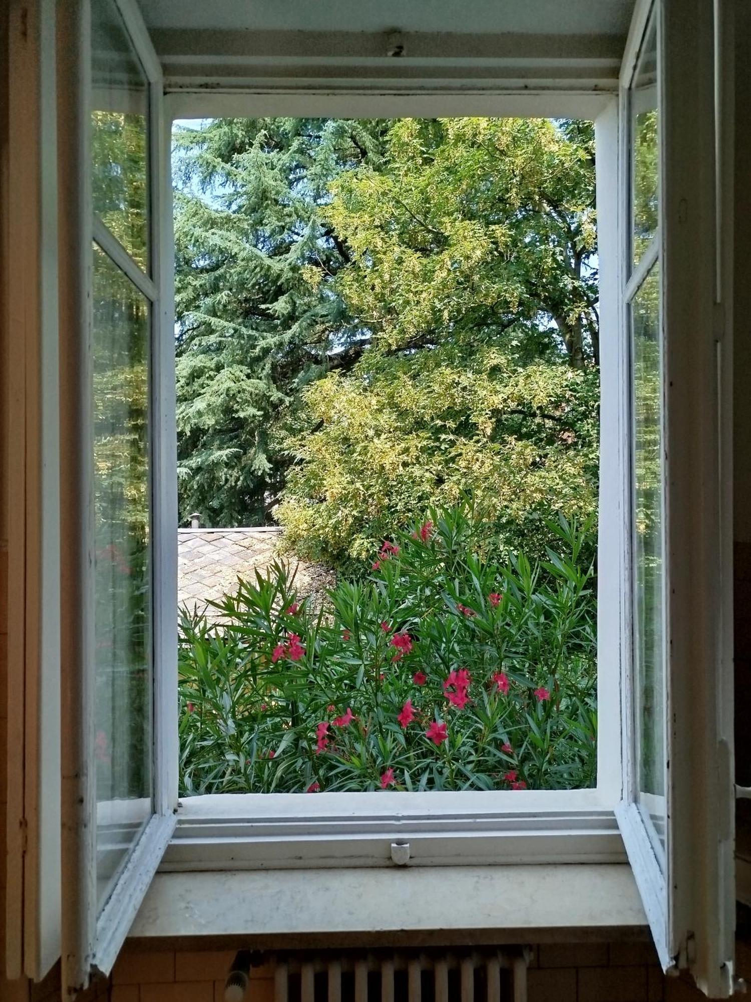 Del Nobile Apartment Torino Kültér fotó