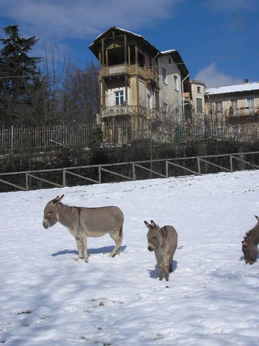 Del Nobile Apartment Torino Kültér fotó